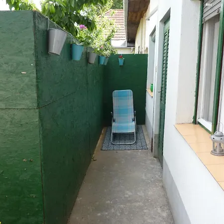 Zizi * Debrecen
