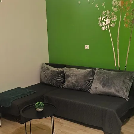 Zizi Debrecen